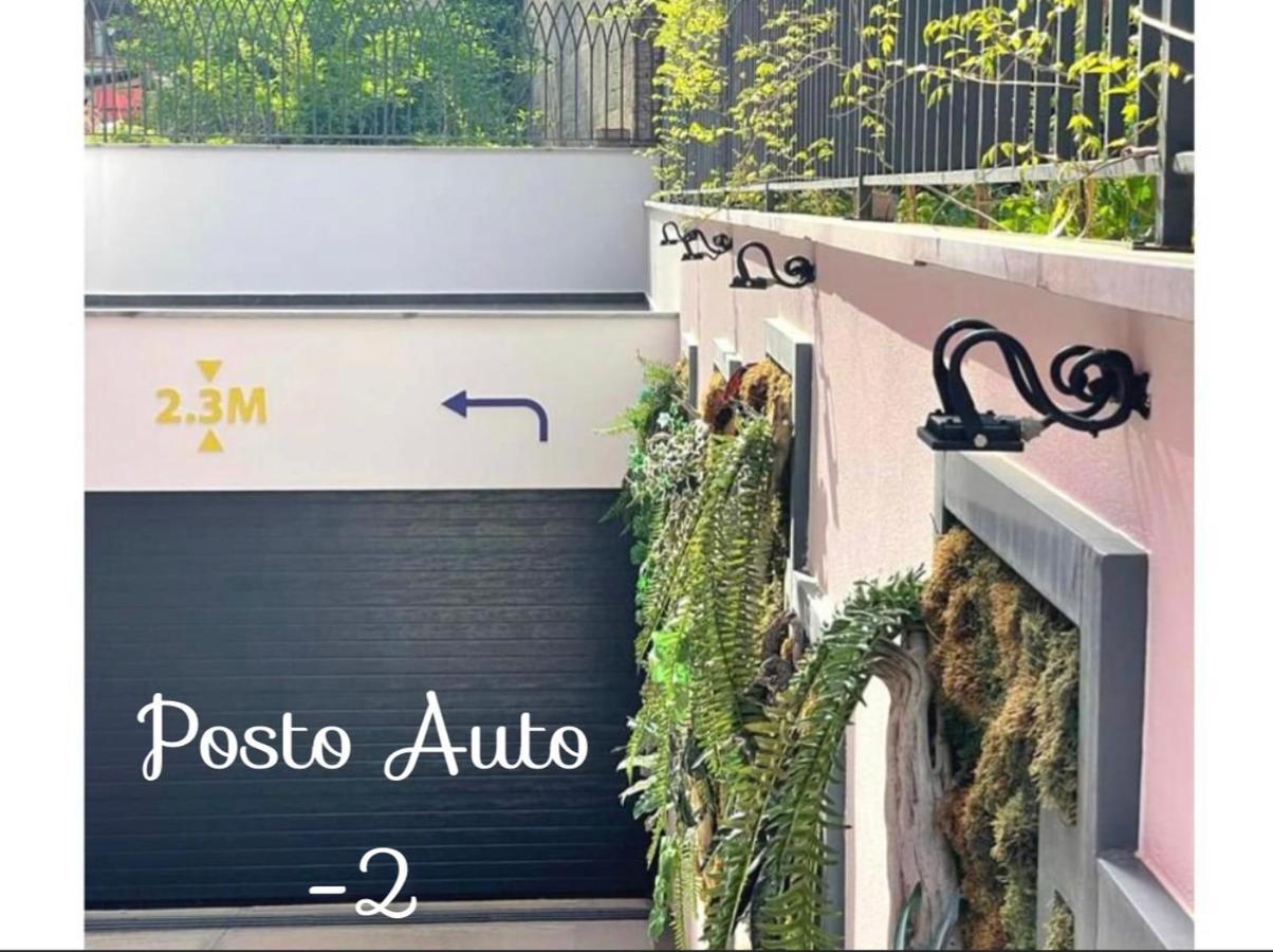 Alma Rose Apartment コルチャ エクステリア 写真