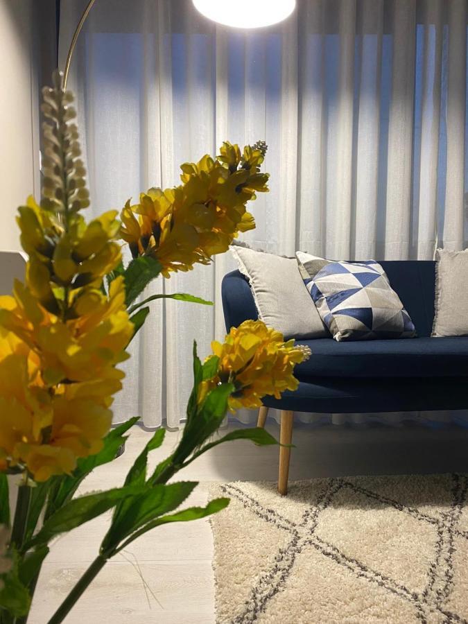 Alma Rose Apartment コルチャ エクステリア 写真