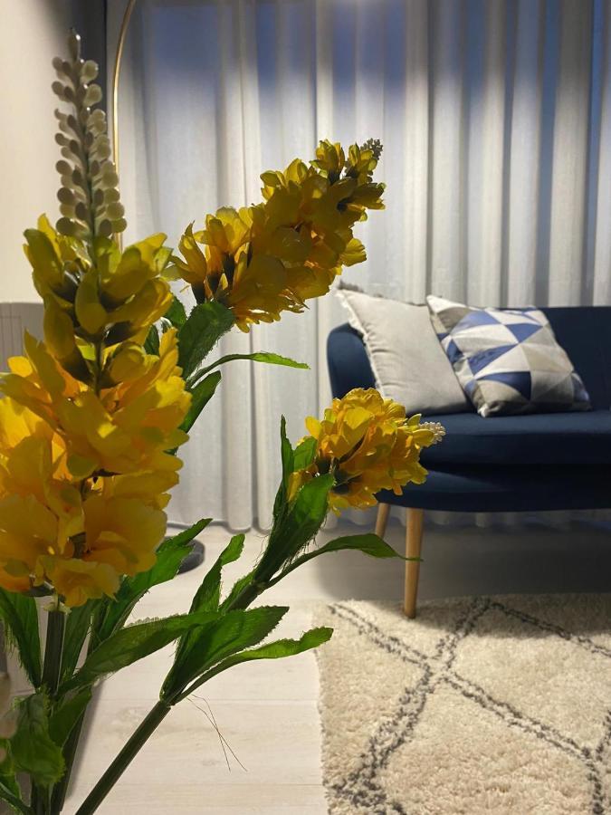 Alma Rose Apartment コルチャ エクステリア 写真