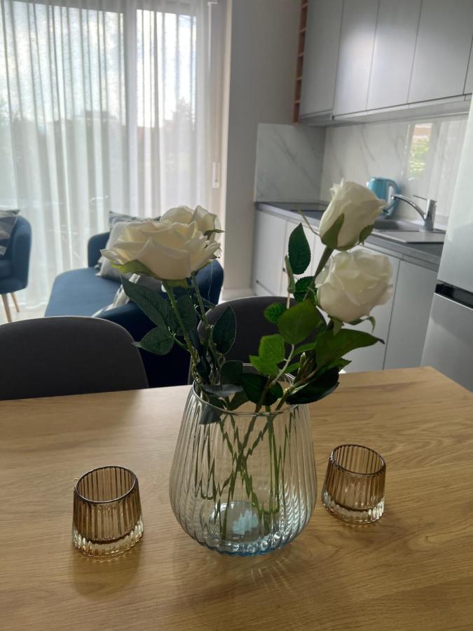Alma Rose Apartment コルチャ エクステリア 写真