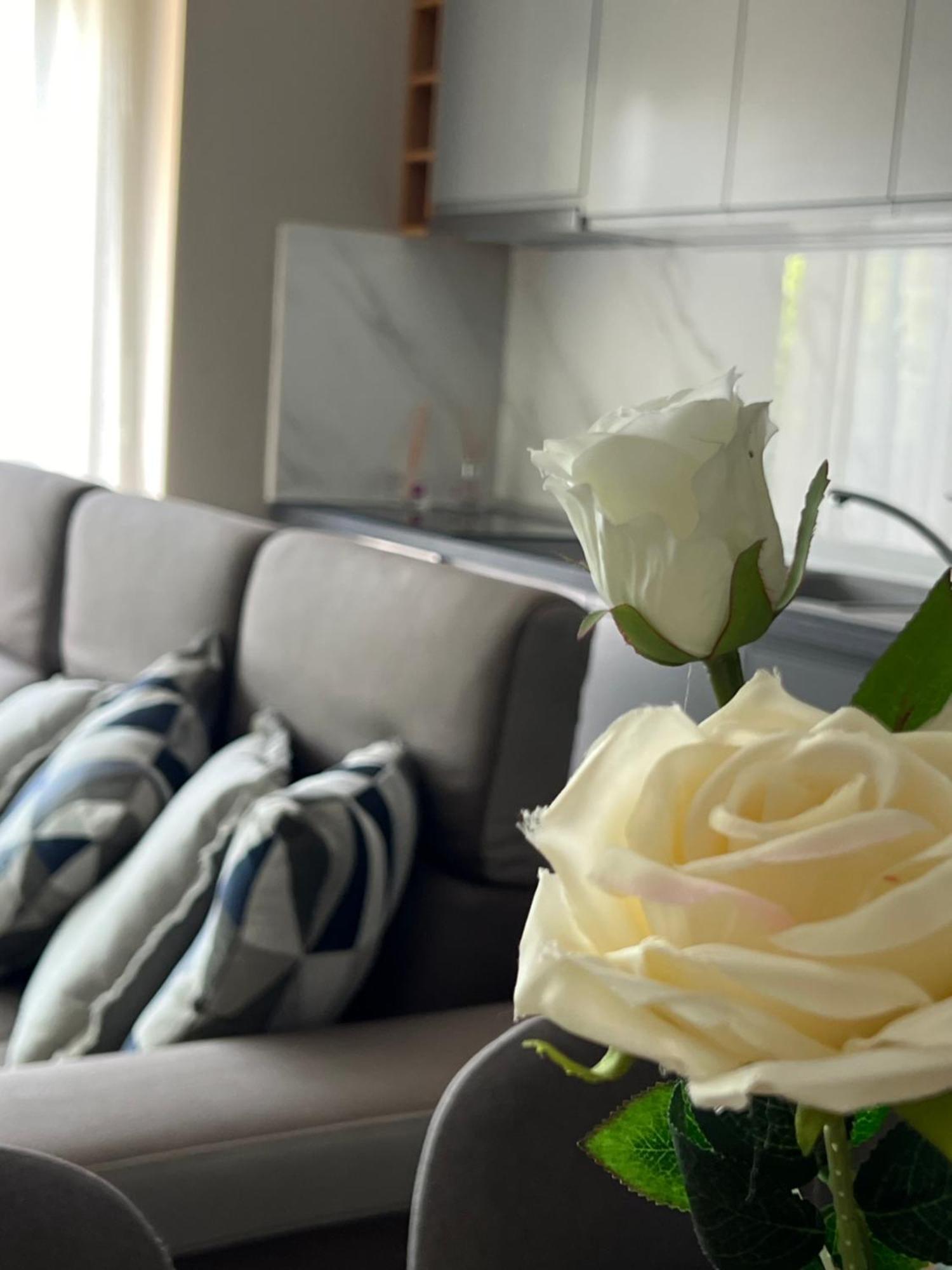 Alma Rose Apartment コルチャ エクステリア 写真